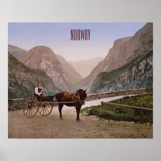 Norwegerin in einer Pferdekutsche gezeichnet Poster (Vorne)
