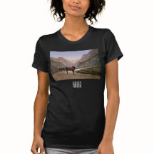 Norwegerin in einer Pferdekutsche gezeichnet