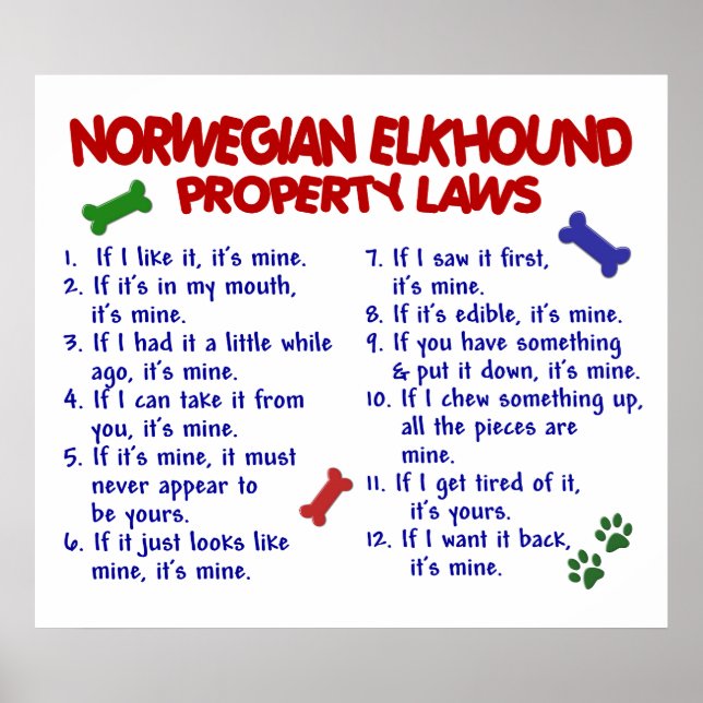 NORWEGIAN ELKHOUND PL2 POSTER (Vorne)