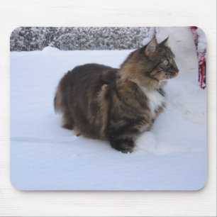 norwegian forest cat in snow mousepad