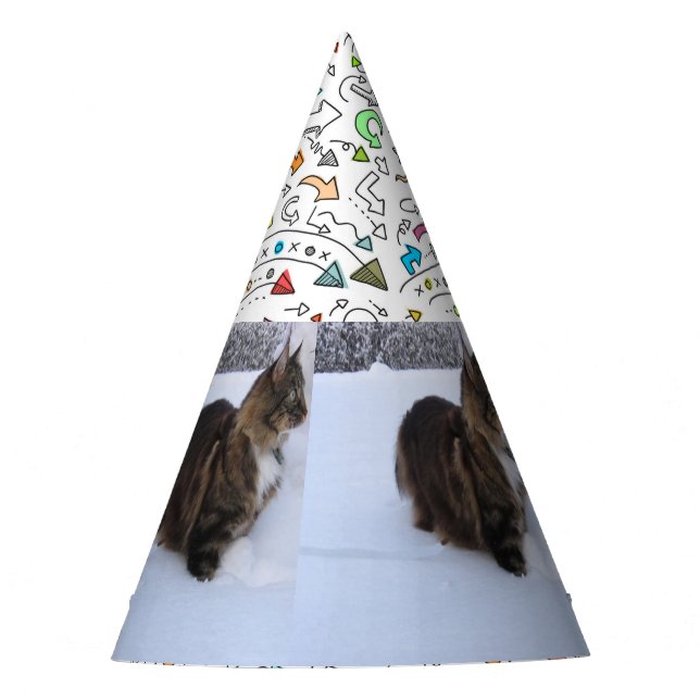 Norwegian Forest Cat in Snow Partyhütchen (Vorderseite)