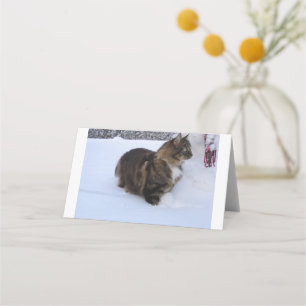 norwegian forest cat in snow platzkarte