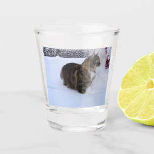 norwegian forest cat in snow schnapsglas
