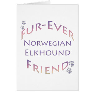 Norwegisch Elkhound Furever