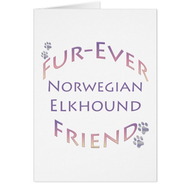 Norwegisch Elkhound Furever (Vorne)