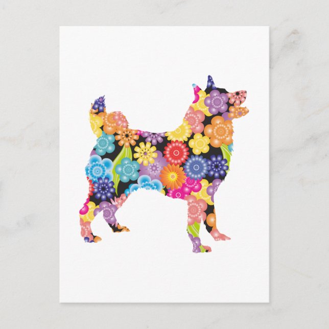 Norwegisch-Elkhound Postkarte (Vorderseite)