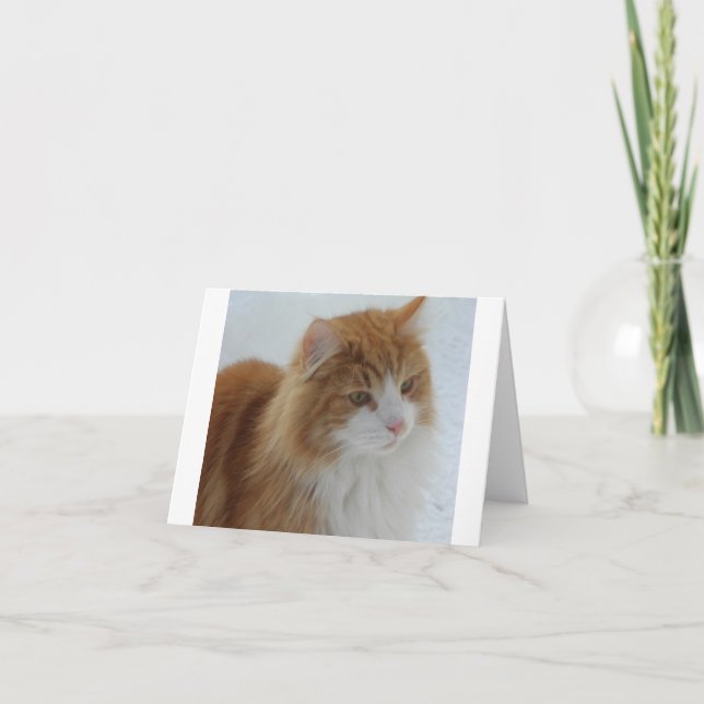 Norwegisch_Forest_Cat Karte (Vorderseite)