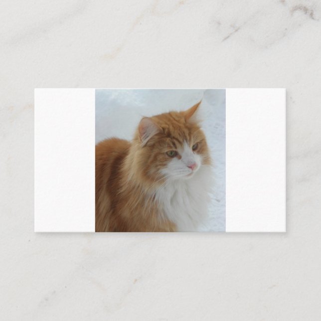 Norwegisch_Forest_Cat Treuekarte (Vorderseite)