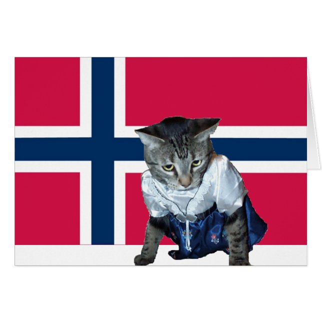 Norwegische Katzenkarte "Gratulerer med dagen" (Vorderseite (Horizontal))