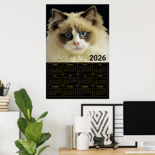 Norwegische Waldkatze – 2026 Wandkalender Design Poster