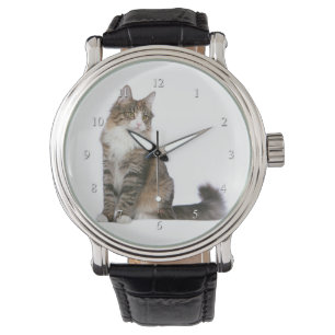 Norwegische Waldkatze Armbanduhr