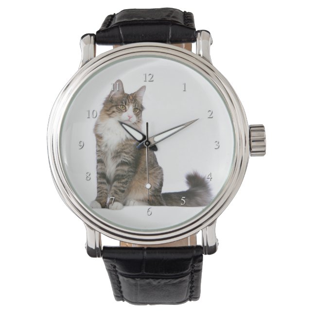Norwegische Waldkatze Armbanduhr (Vorderseite)