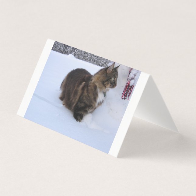 Norwegische Waldkatze im Schnee (Vorderseite)