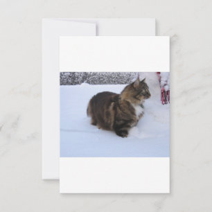 Norwegische Waldkatze im Schnee Dankeskarte