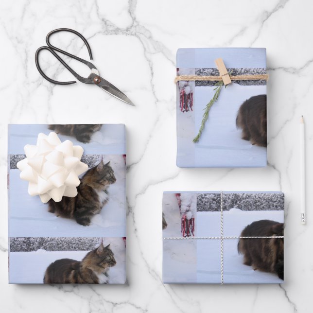 Norwegische Waldkatze im Schnee Geschenkpapier Set (Vorderseite)
