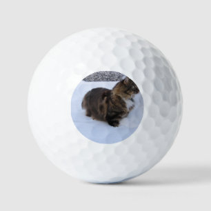 Norwegische Waldkatze im Schnee Golfball