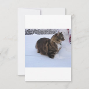 Norwegische Waldkatze im Schnee Karte