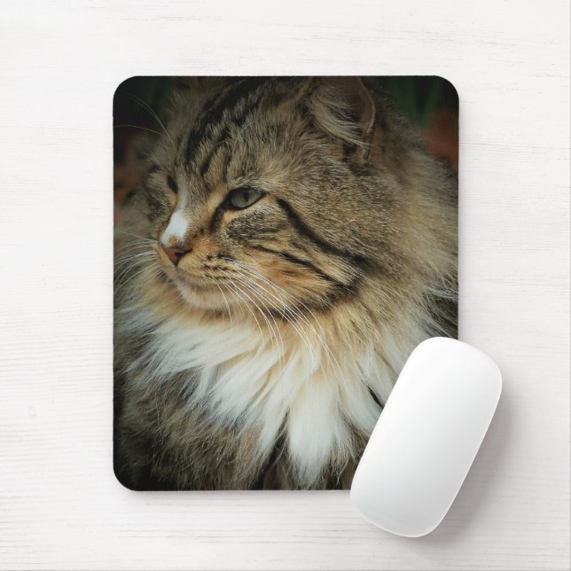 Norwegische Waldkatze Mousepad (Mit Mouse)
