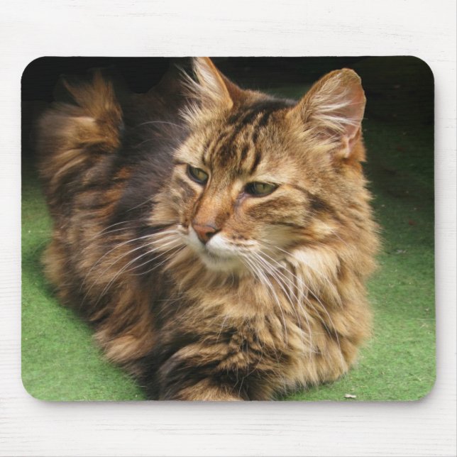 Norwegische Waldkatze Mousepad (Vorne)