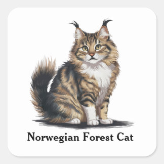 Norwegische Waldkatze Quadratischer Aufkleber