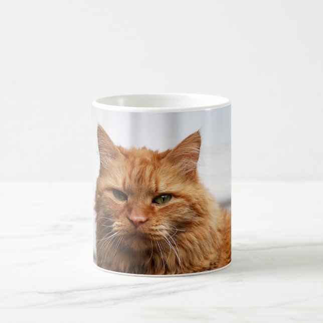 Norwegische Waldkatze-Tasse Tasse (Mittel)