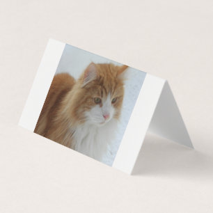 Norwegische_Waldkatze Visitenkarten