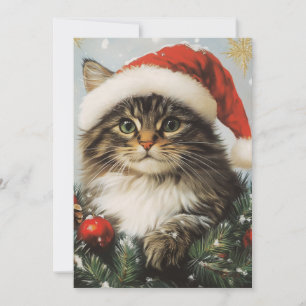 Norwegische Waldkatze Weihnachten