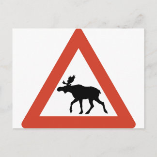 Norwegischer Elch Postkarte