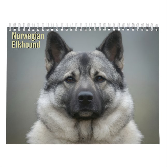 Norwegischer Elchhund 2027 Wandkalender (Titelbild)