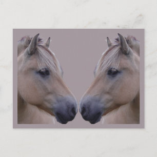 Norwegischer Fjord Postkarte