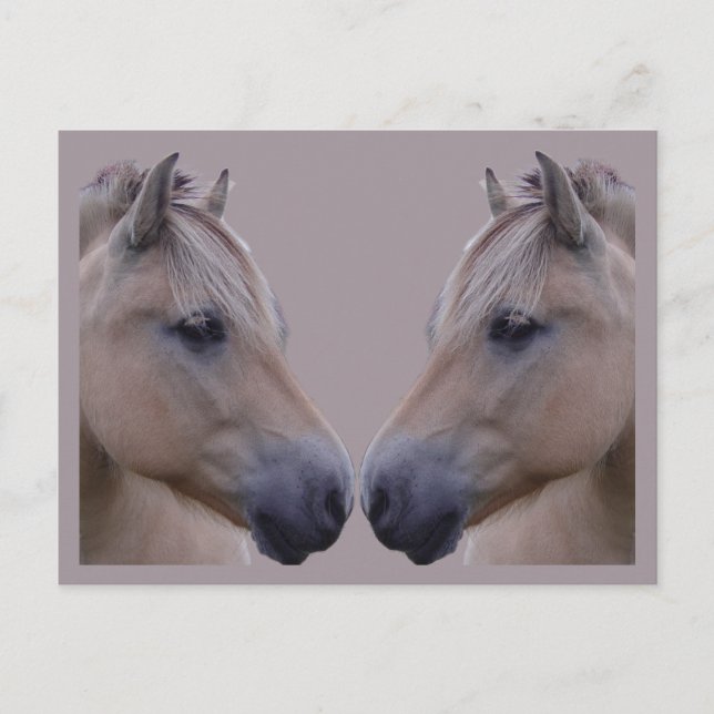 Norwegischer Fjord Postkarte (Vorderseite)