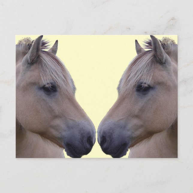 Norwegischer Fjord Postkarte (Vorderseite)