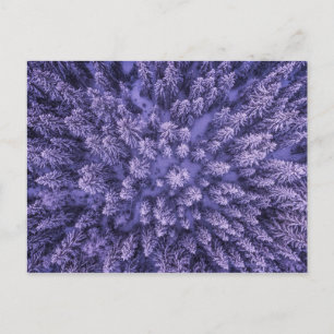 Norwegischer Schneewald Postkarte