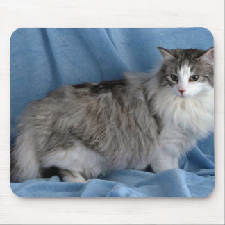 Norwegischer Wald, Silber, Tabby und Weiß Mousepad