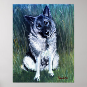 Norwegisches Elkhound-Dog-Portrait Poster