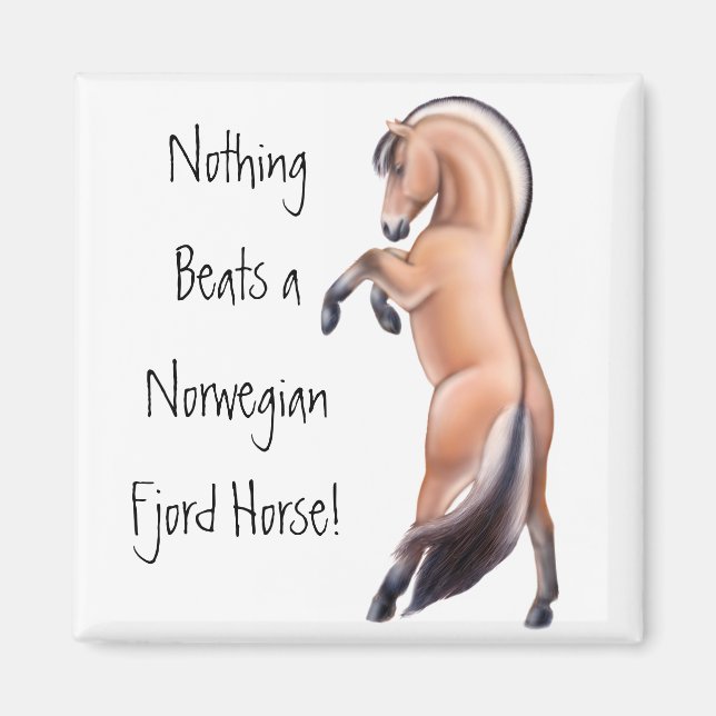 Norwegisches Fjord-Button Magnet (Vorne)
