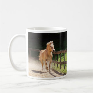 Norwegisches Fjord-Pferd - Finn Kaffeetasse