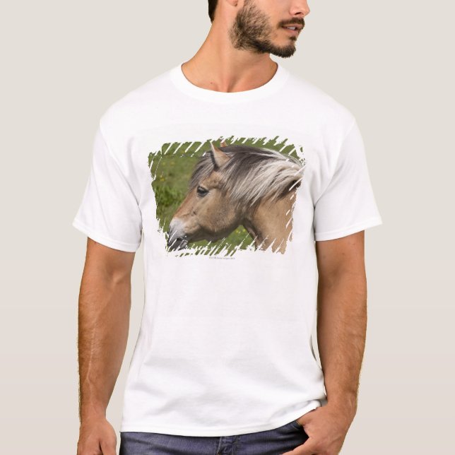 Norwegisches Fjord-Pferd T-Shirt (Vorderseite)