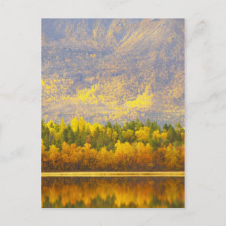 Norwegisches Lappland in den Herbstfarben Postkarte
