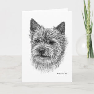Norwich Terrier Art von Glenda S. Harlan