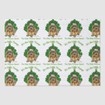 Norwich Terrier Christmas