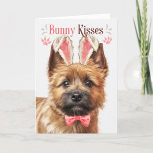 Norwich Terrier Dog Bunny Ears für Ostern Feiertagskarte