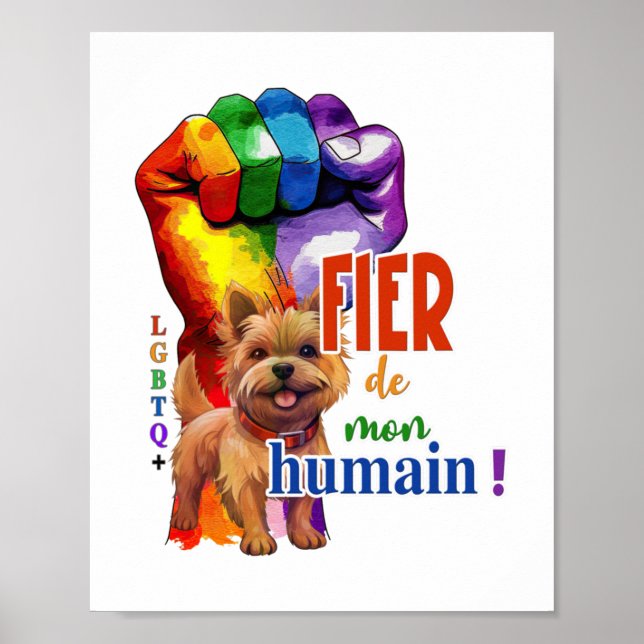 Norwich Terrier dog Poster (Vorne)