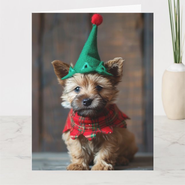 Norwich Terrier Elf Puppy Christmas Card Karte (Vorderseite)