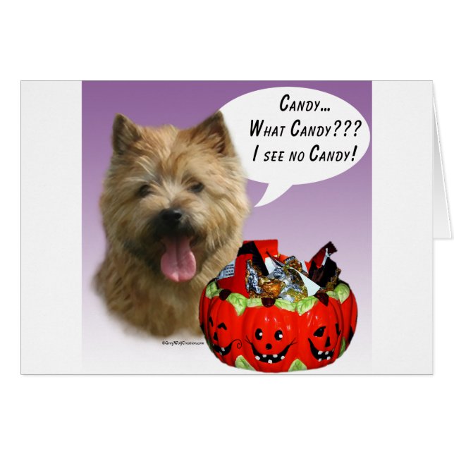 Norwich Terrier Halloween Candy (Vorderseite (Horizontal))
