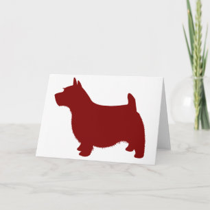 Norwich Terrier Karte