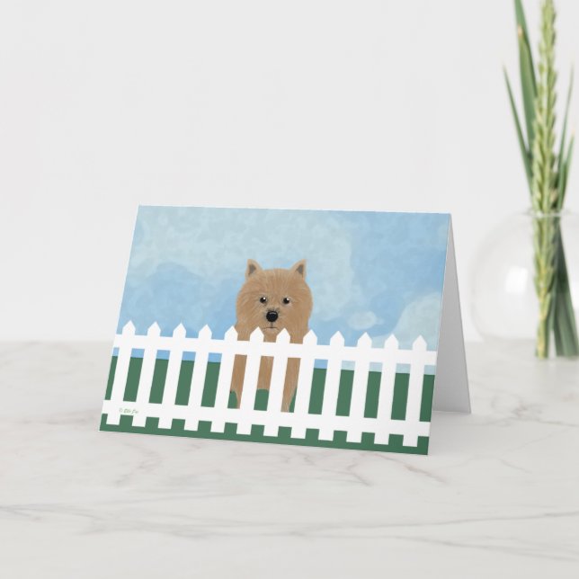 Norwich Terrier Note Card Karte (Vorderseite)