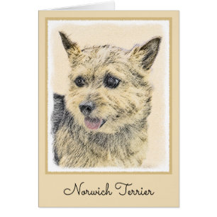 Norwich Terrier Painting - Niedliche Original Dog