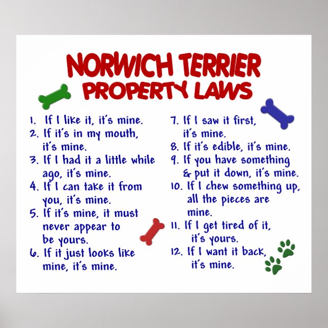 NORWICH TERRIER PL2 POSTER (Vorne)