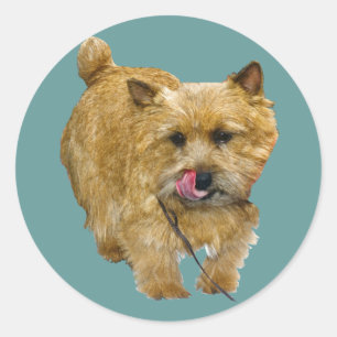 Norwich Terrier Runder Aufkleber